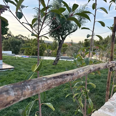 Casa Cadi - Refugio Na Natureza Em Proença-a-Nova