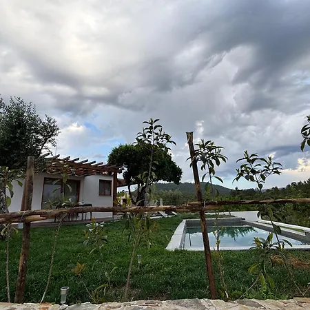 Tatil Evi Casa Cadi - Refugio Na Natureza Em Proença-a-Nova