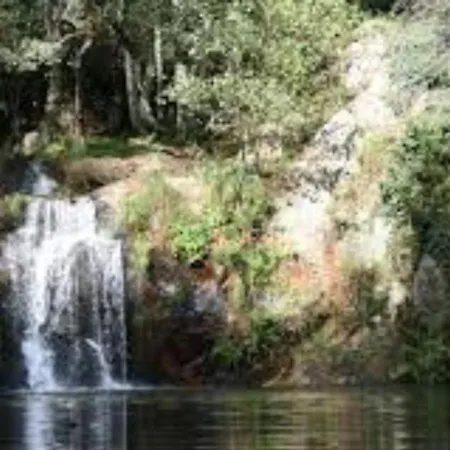 Casa Cadi - Refugio Na Natureza Em Feriehus Proença-a-Nova